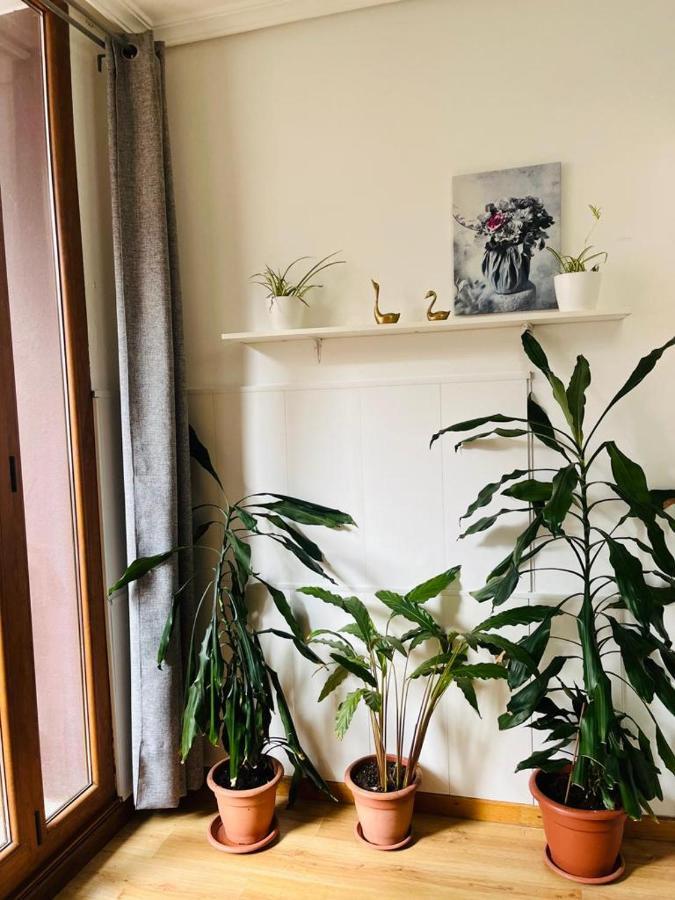 Appartement Antonio Nores à Cangas Extérieur photo